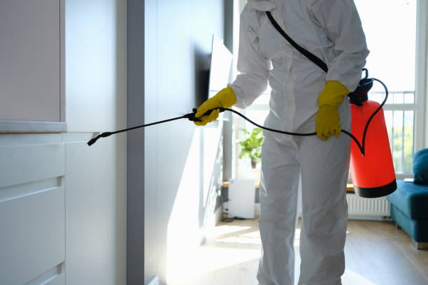 Attic Mold Removal in Lake Fenton, MI