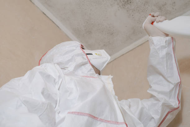 Best Professional Mold Removal  in Lake Fenton, MI